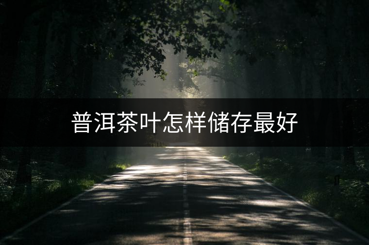 普洱茶葉怎樣儲存最好 普洱茶葉怎樣儲存最好