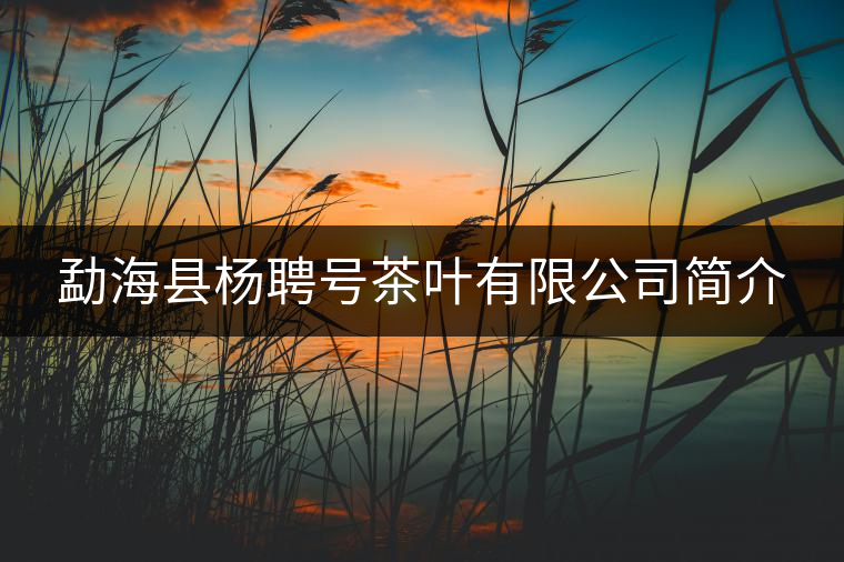 勐?？h楊聘號(hào)茶葉有限公司簡介