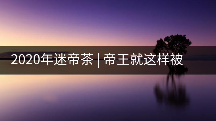 2020年迷帝茶 | 帝王就這樣被迷住了？-易武中聘號(hào)