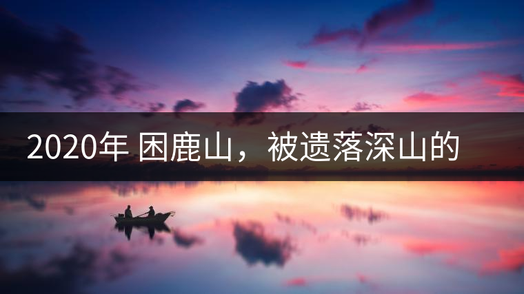 2020年 困鹿山，被遺落深山的皇家古茶園-易武中聘號(hào)