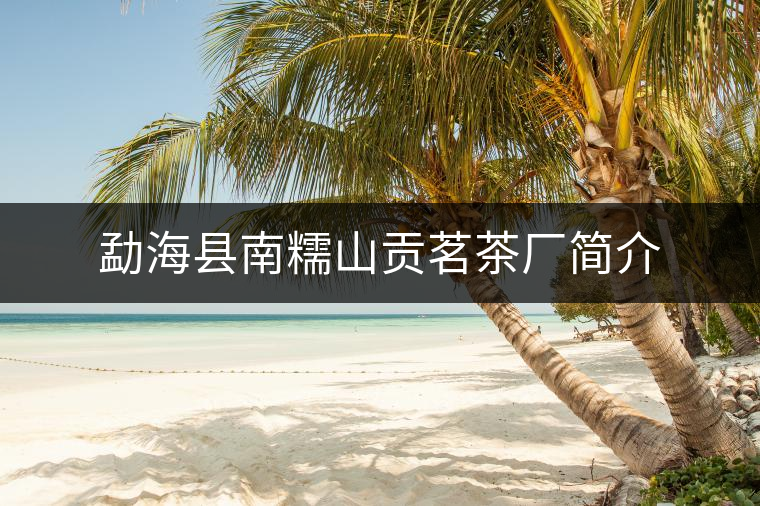 勐?？h南糯山貢茗茶廠簡介
