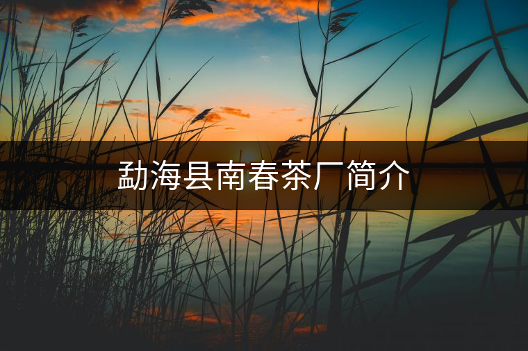 勐海縣南春茶廠簡介 勐??h南春茶廠簡介