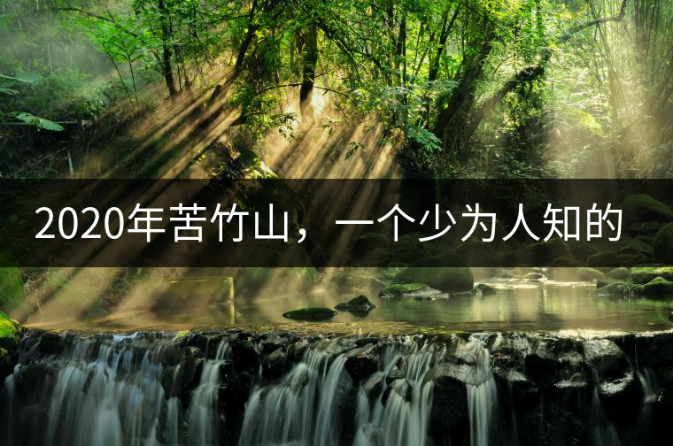 2020年苦竹山，一個少為人知的后起之秀！-易武中聘號