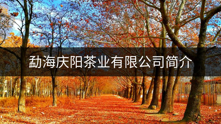 勐海慶陽茶業(yè)有限公司簡介 勐海慶陽茶業(yè)有限公司簡介