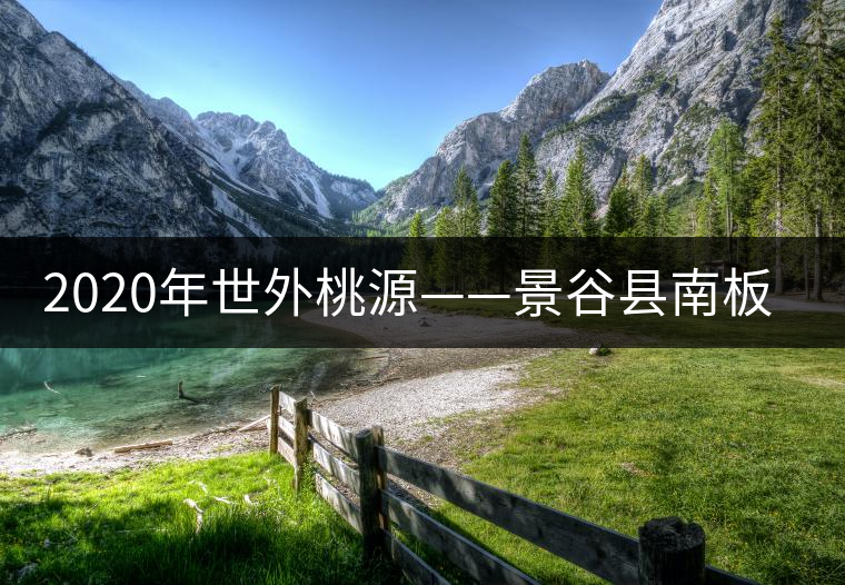 2020年世外桃源——景谷縣南板黃草壩古茶山-易武中聘號 2020年世外桃源——景谷縣南板黃草壩古茶山-易武中聘號