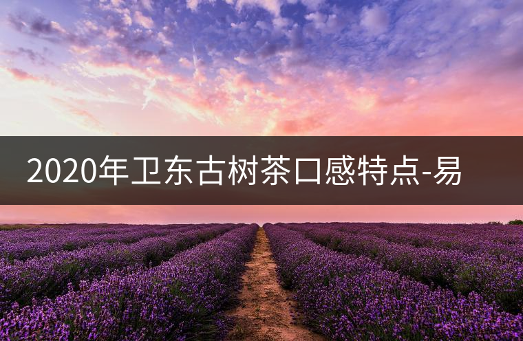 2020年衛(wèi)東古樹茶口感特點(diǎn)-易武中聘號(hào)