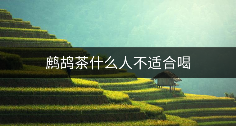 鷓鴣茶什么人不適合喝 鷓鴣茶什么人不適合喝