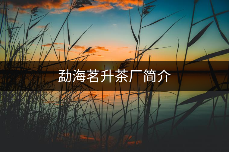 勐海茗升茶廠簡介 勐海茗升茶廠簡介