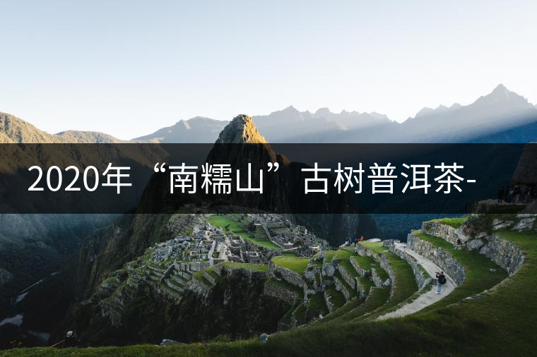 2020年“南糯山”古樹普洱茶-易武中聘號 2020年“南糯山”古樹普洱茶-易武中聘號