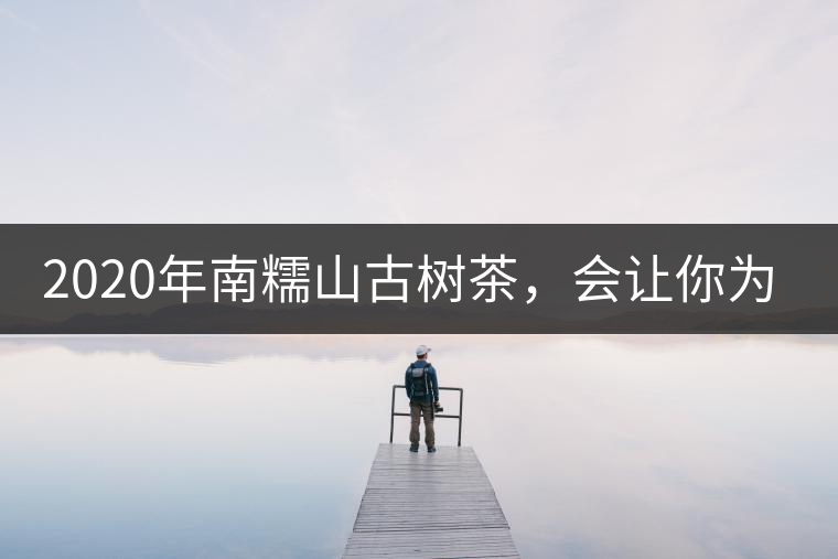 2020年南糯山古樹茶，會讓你為之著迷-易武中聘號
