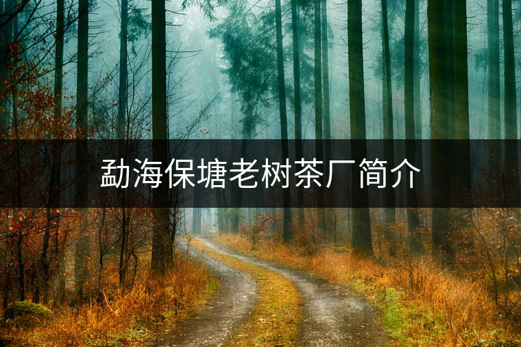 勐海保塘老樹茶廠簡介 勐海保塘老樹茶廠簡介