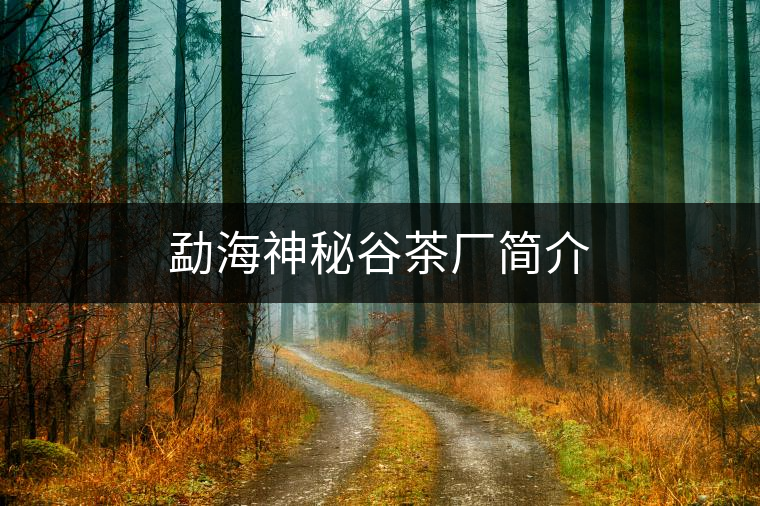 勐海神秘谷茶廠簡介 勐海神秘谷茶廠簡介