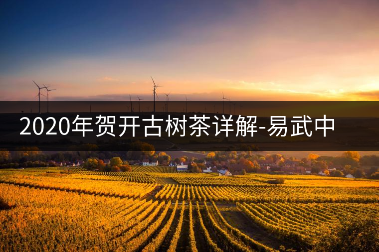 2020年賀開古樹茶詳解-易武中聘號 2020年賀開古樹茶詳解-易武中聘號