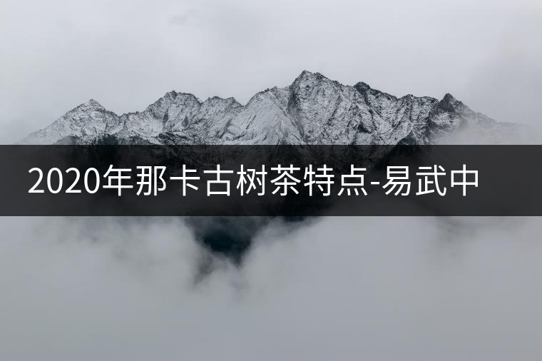 2020年那卡古樹(shù)茶特點(diǎn)-易武中聘號(hào)