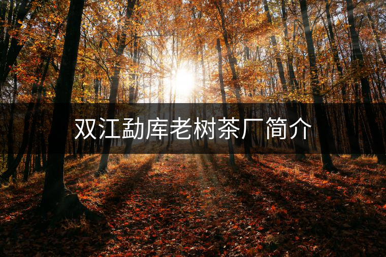 雙江勐庫(kù)老樹(shù)茶廠簡(jiǎn)介 雙江勐庫(kù)老樹(shù)茶廠簡(jiǎn)介