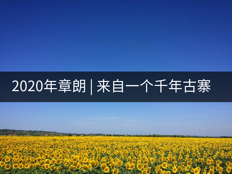 2020年章朗 | 來自一個千年古寨的古樹茶 -易武中聘號 2020年章朗 | 來自一個千年古寨的古樹茶 -易武中聘號