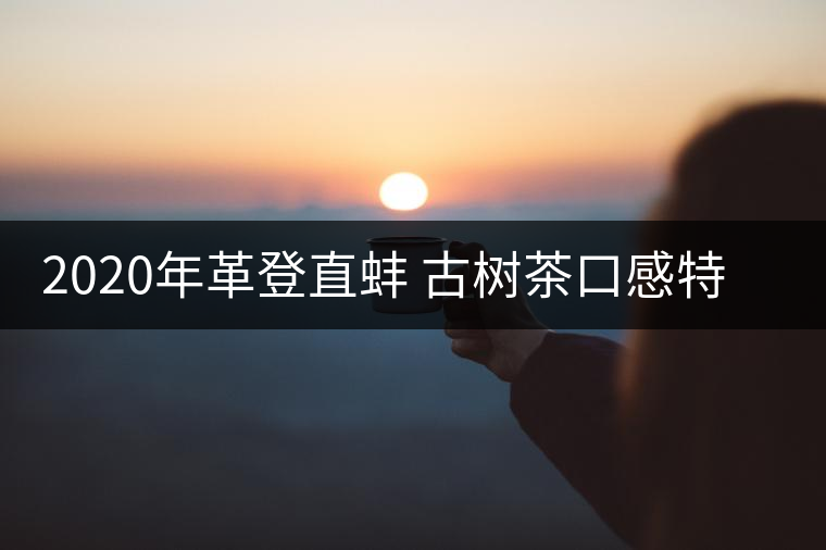 2020年革登直蚌 古樹茶口感特點-易武中聘號 2020年革登直蚌 古樹茶口感特點-易武中聘號