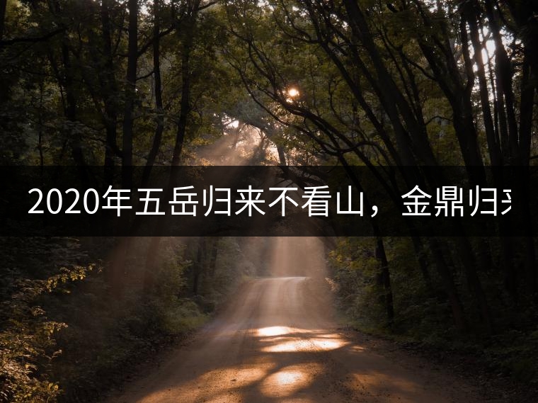 2020年五岳歸來不看山，金鼎歸來不看茶   -易武中聘號