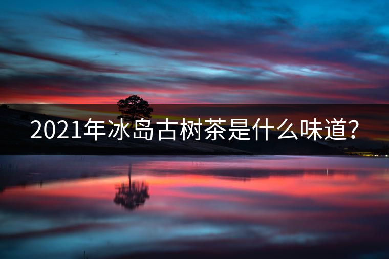 2021年冰島古樹茶是什么味道？