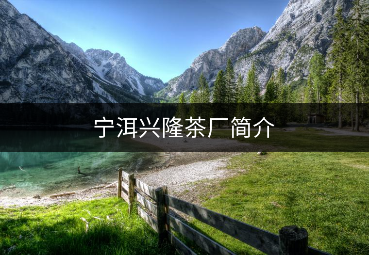寧洱興隆茶廠簡介 寧洱興隆茶廠簡介
