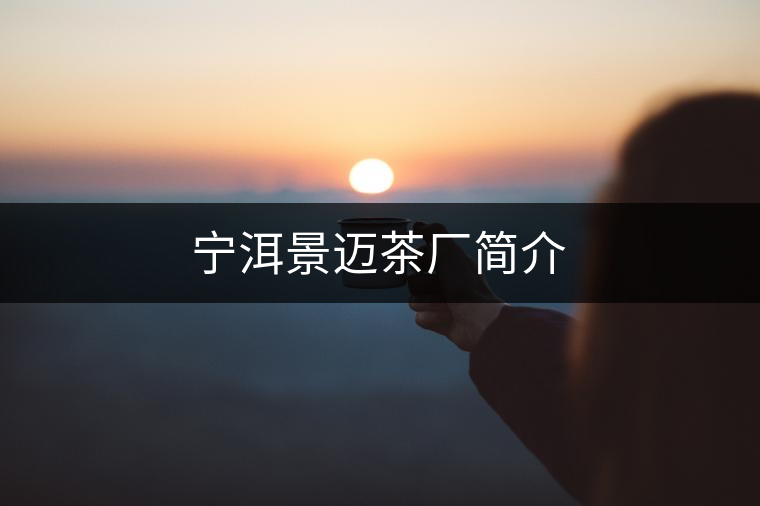 寧洱景邁茶廠簡(jiǎn)介 寧洱景邁茶廠簡(jiǎn)介
