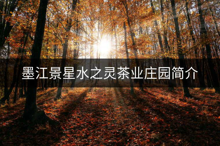 墨江景星水之靈茶業(yè)莊園簡介 墨江景星水之靈茶業(yè)莊園簡介