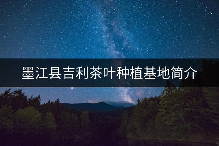 墨江縣吉利茶葉種植基地簡(jiǎn)介 墨江縣吉利茶葉種植基地簡(jiǎn)介