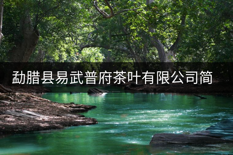 勐臘縣易武普府茶葉有限公司簡介 勐臘縣易武普府茶葉有限公司簡介