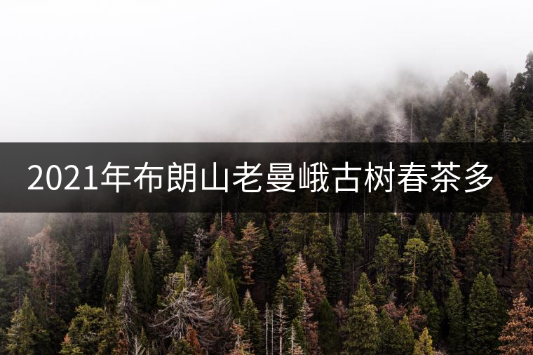 2021年布朗山老曼峨古樹(shù)春茶多少錢(qián)一公斤？