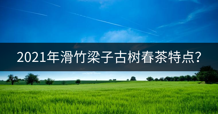 2021年滑竹梁子古樹春茶特點(diǎn)？