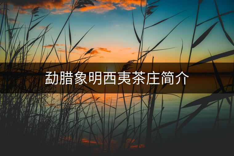 勐臘象明西夷茶莊簡(jiǎn)介 勐臘象明西夷茶莊簡(jiǎn)介