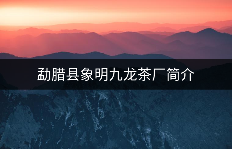 勐臘縣象明九龍茶廠簡(jiǎn)介 勐臘縣象明九龍茶廠簡(jiǎn)介