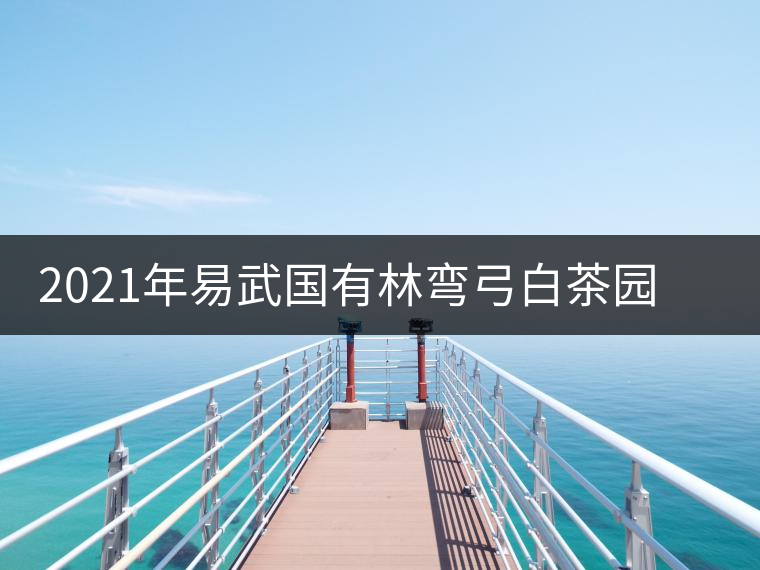 2021年易武國有林彎弓白茶園古樹春茶口感特點