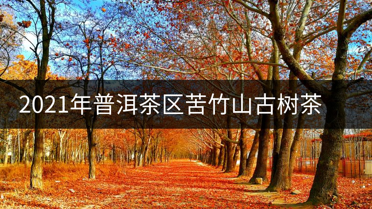 2021年普洱茶區(qū)苦竹山古樹茶春茶口感特點(diǎn)