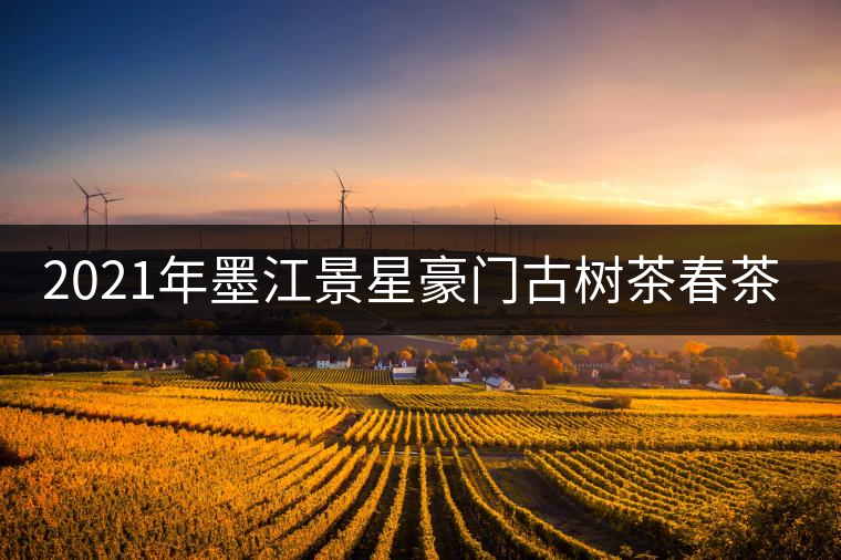 2021年墨江景星豪門古樹茶春茶價(jià)格多少錢一斤？