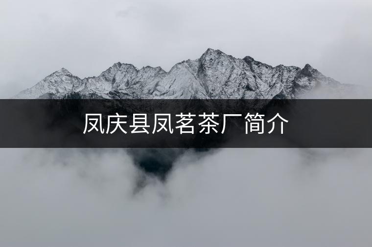 鳳慶縣鳳茗茶廠簡(jiǎn)介 鳳慶縣鳳茗茶廠簡(jiǎn)介