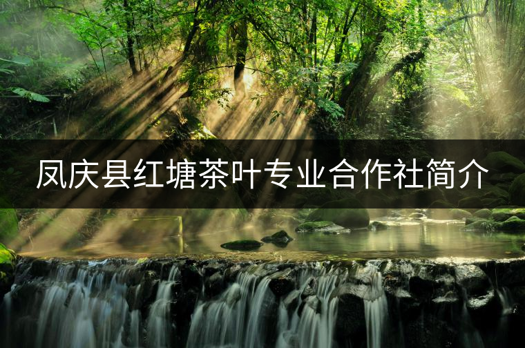 鳳慶縣紅塘茶葉專(zhuān)業(yè)合作社簡(jiǎn)介 鳳慶縣紅塘茶葉專(zhuān)業(yè)合作社簡(jiǎn)介