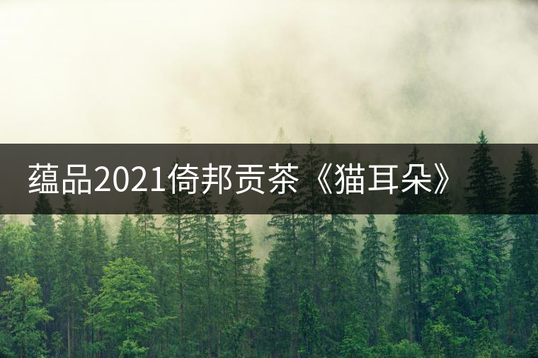 蘊品2021倚邦貢茶《貓耳朵》古樹普洱茶生茶好喝嗎？