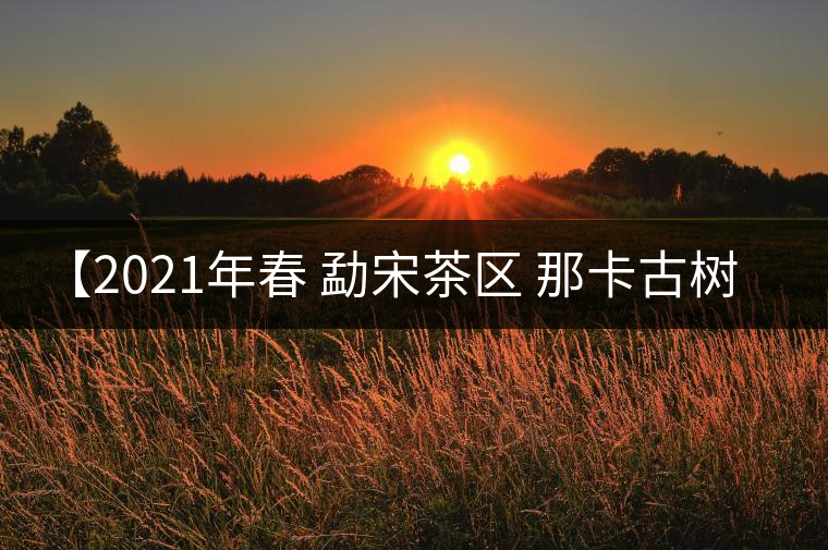 【2021年春?勐宋茶區(qū)?那卡古樹(shù)生茶】 【2021年春?勐宋茶區(qū)?那卡古樹(shù)生茶】