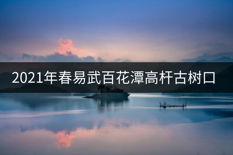 2021年春易武百花潭高桿古樹口感測(cè)評(píng) 2021年春易武百花潭高桿古樹口感測(cè)評(píng)
