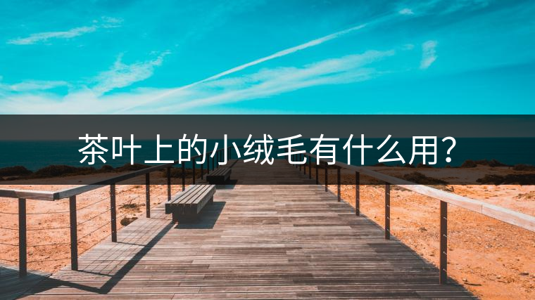 茶葉上的小絨毛有什么用？