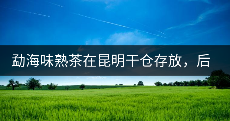 勐海味熟茶在昆明干倉(cāng)存放，后期轉(zhuǎn)化如何呢？