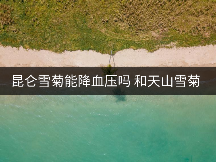 昆侖雪菊能降血壓?jiǎn)?和天山雪菊的區(qū)別