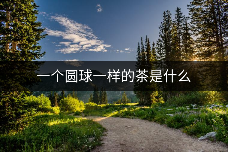 一個圓球一樣的茶是什么 一個圓球一樣的茶是什么