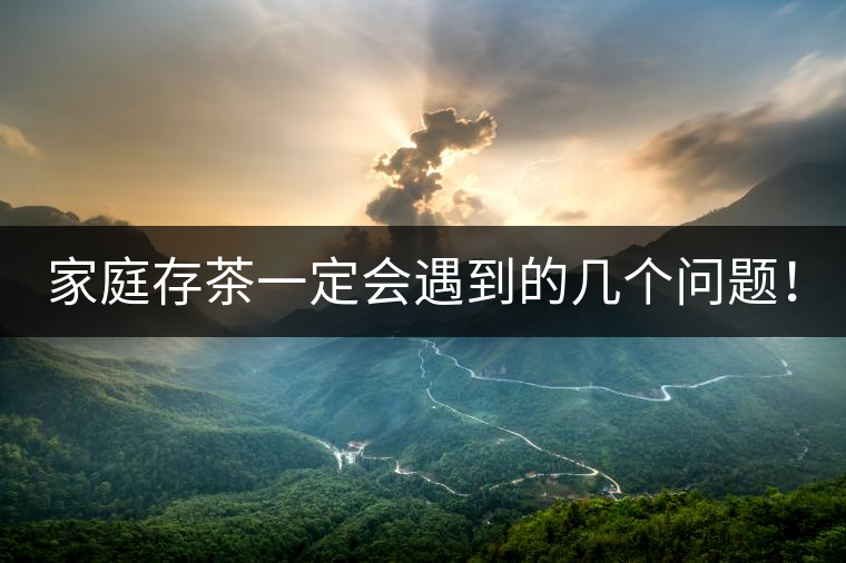 家庭存茶一定會遇到的幾個問題！