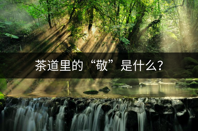 茶道里的“敬”是什么？