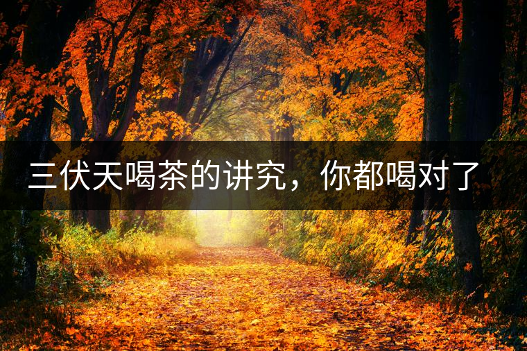 三伏天喝茶的講究，你都喝對(duì)了嗎？