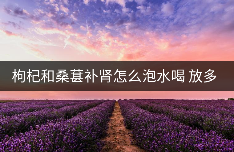 枸杞和桑葚補(bǔ)腎怎么泡水喝 放多少合適 枸杞和桑葚補(bǔ)腎怎么泡水喝 放多少合適