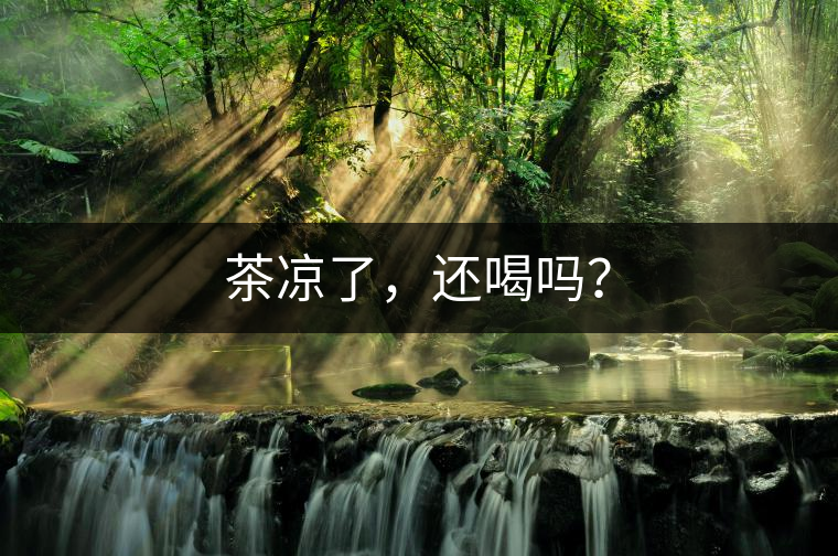 茶涼了，還喝嗎？