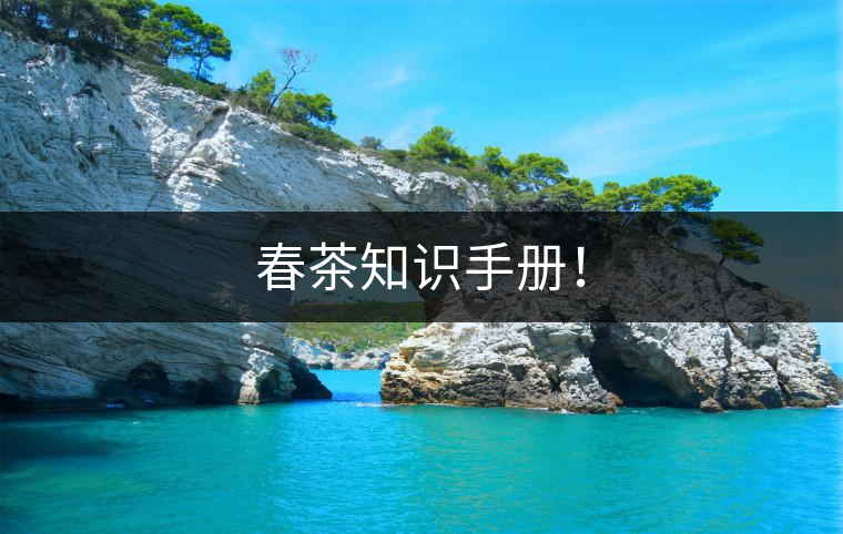 春茶知識(shí)手冊(cè)！